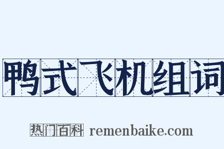 鸭式飞机组词是什么意思的图片